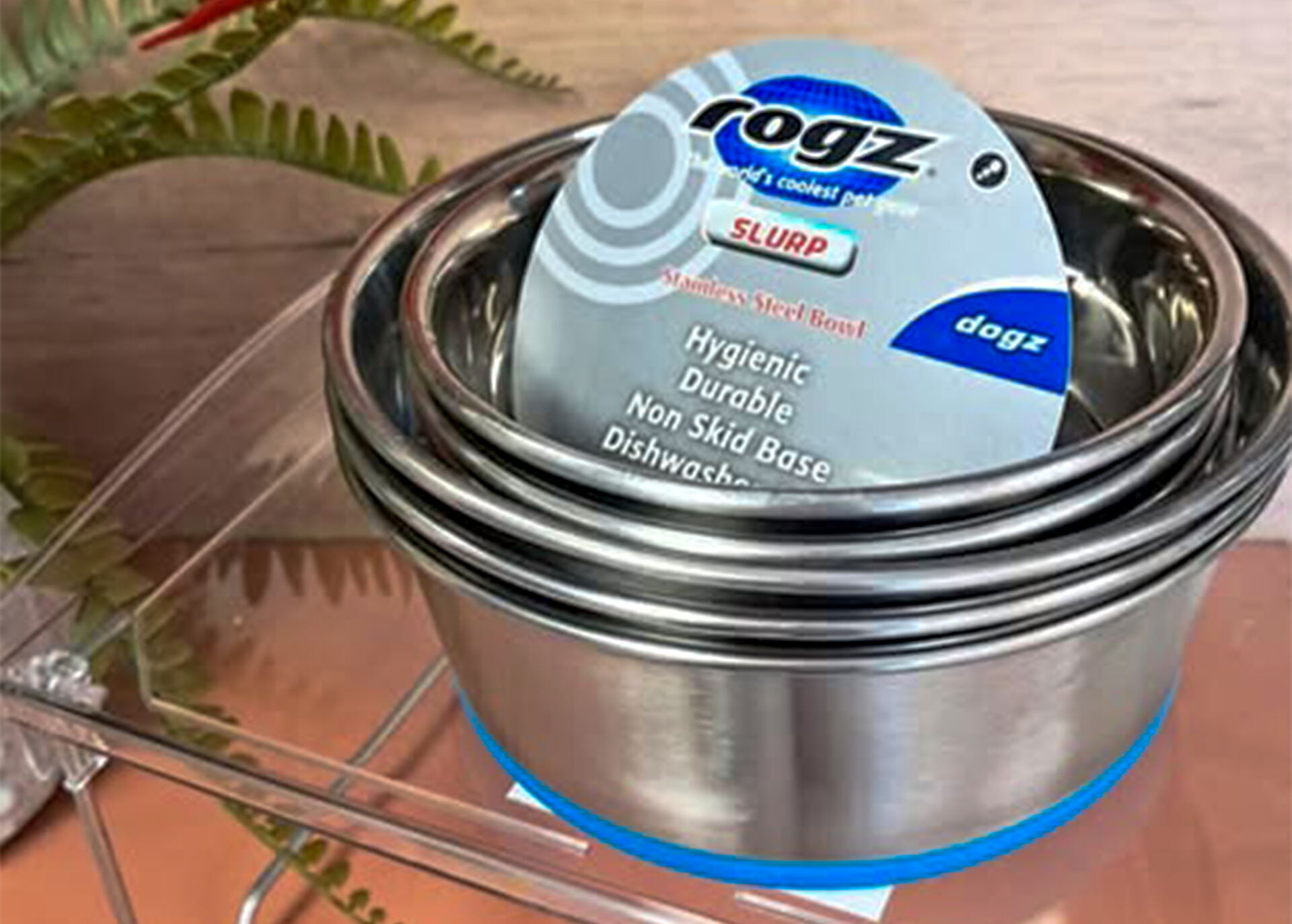 pet-bowls.jpg