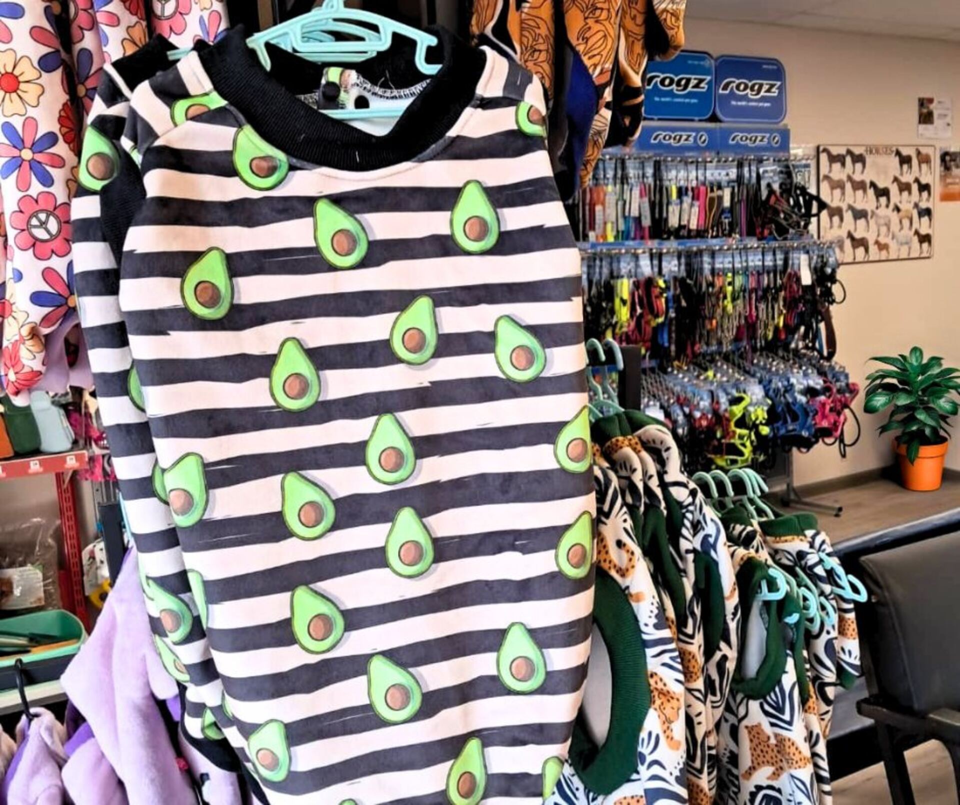 pet-clothing.jpg