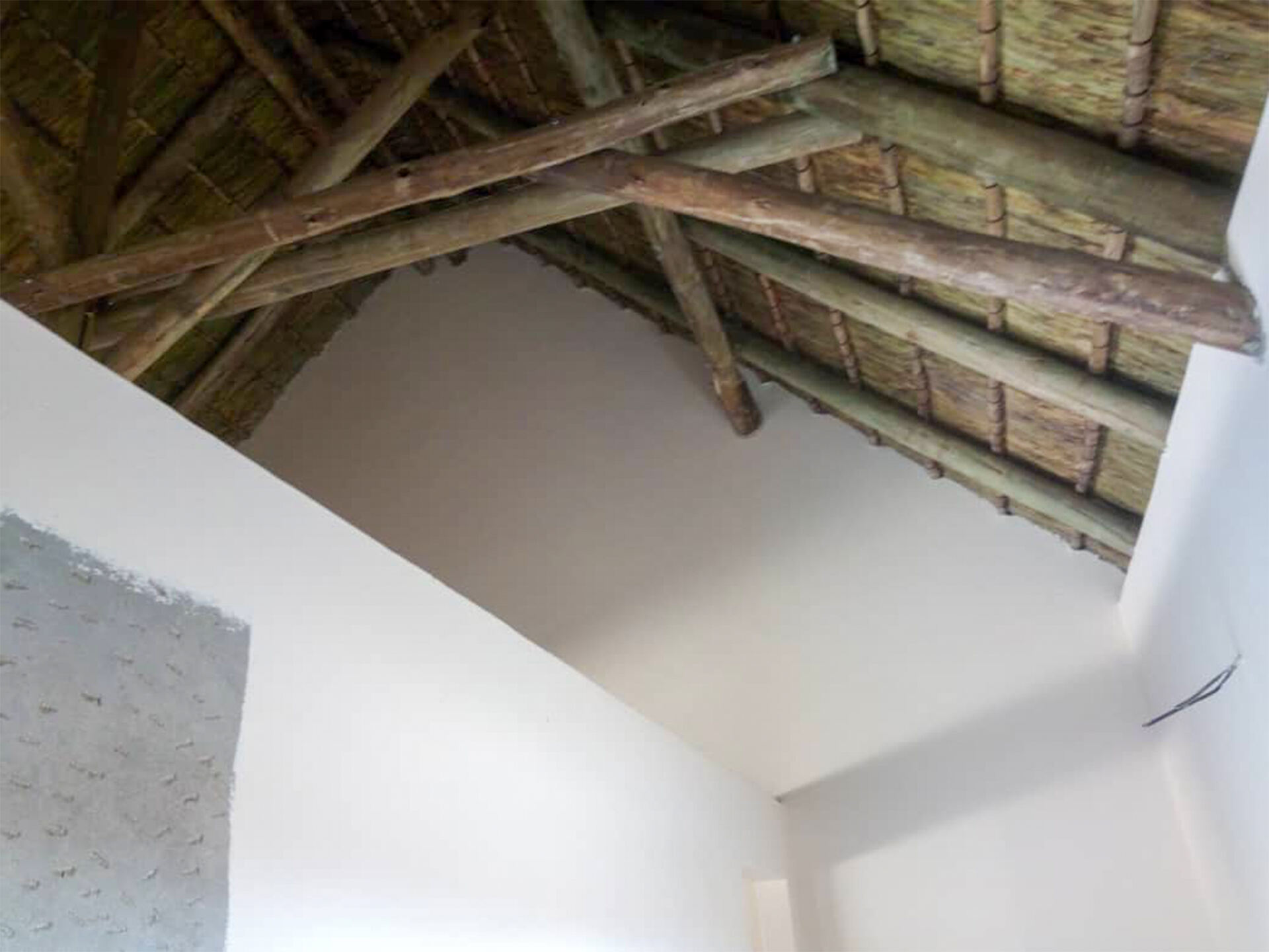 Patient & Enclosures